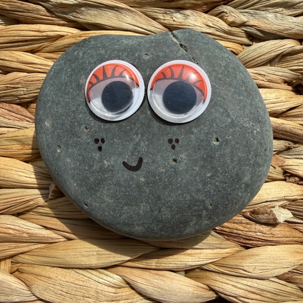 Worry Stone & Pet Rock